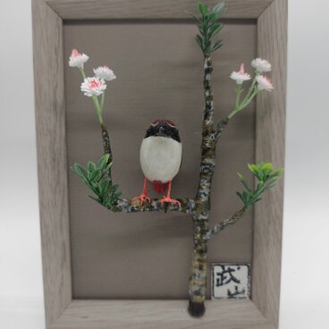 ヤイロチョウ（ミニミニ額）【木彫品】