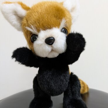 ハンドメイドぬいぐるみ☆レッサーパンダ