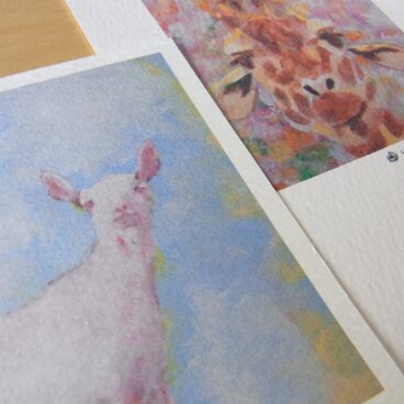 動物園のようなポストカード＋ささやかなおまけ付き