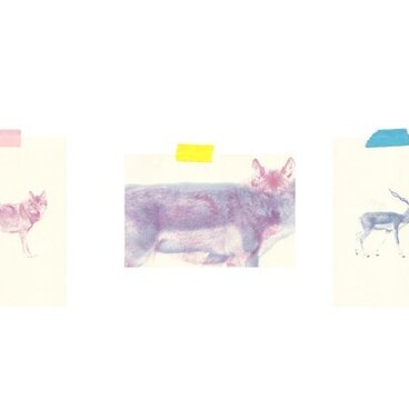 ポストカード３枚セット D