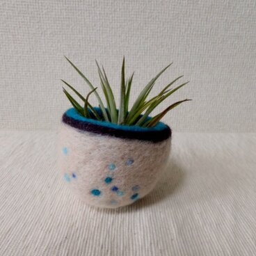 羊毛フェルトの小さな小物入れ/エアプランツホルダー