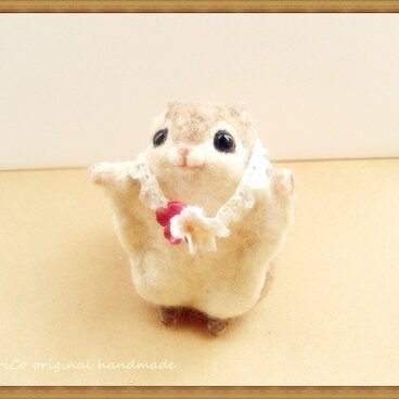 癒しの妖精　momoちゃん