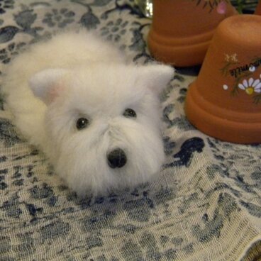 伏せウエスティ2