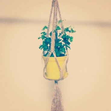 プラントハンガー