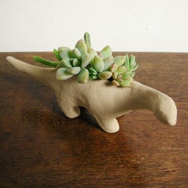 恐竜(多肉植物・小)