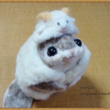 癒しの妖精　momoちゃん