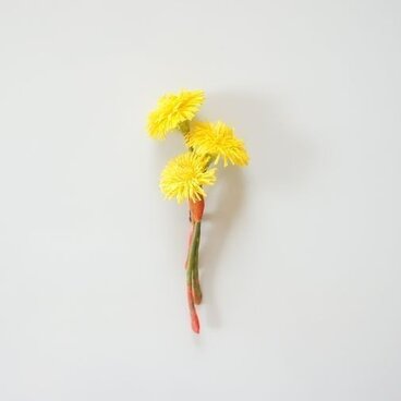 繭のコサージュ　タンポポ