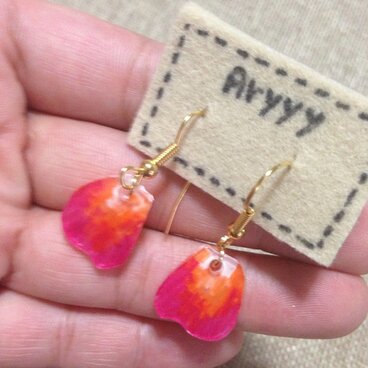 プラパン花びら