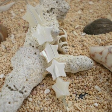 貝で作った小さな星です。アクセパーツに　５個