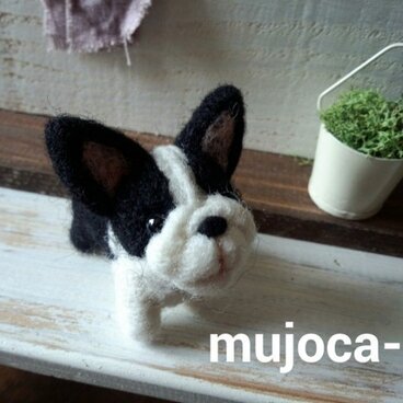 わんこ(ﾌﾚﾝﾁﾌﾞﾙ)