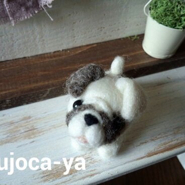 しわしわワンコ