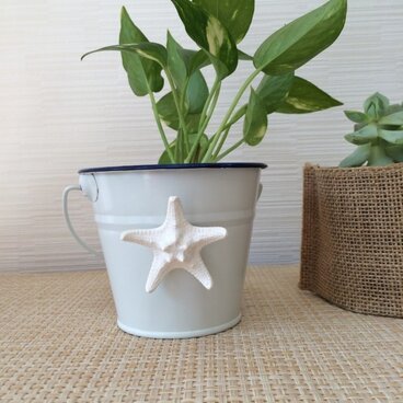 ミニコブヒトデのマグネット