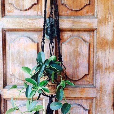 ◆プランツハンガー◆プラントハンガー　マクラメ