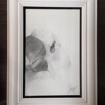 [リクエスト]ｓ様　文鳥　- white -