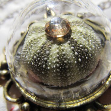 ウニ　ガラスドームのペンダント