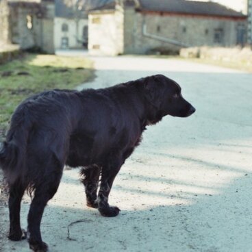 【額付写真】ハロー