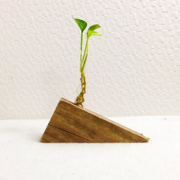 三角流木の一輪挿し