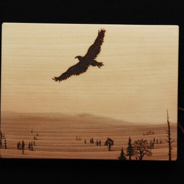 鷹　（焼き板絵）