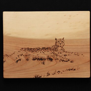 カモフラージュ1（焼き板絵）