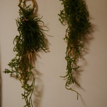 しめ縄リース　ヒカゲノカズラ