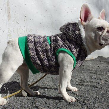 ★フレブル専★もこもこプードルボア裏付フーディベスト★