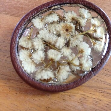 白いハハコグサのブローチ