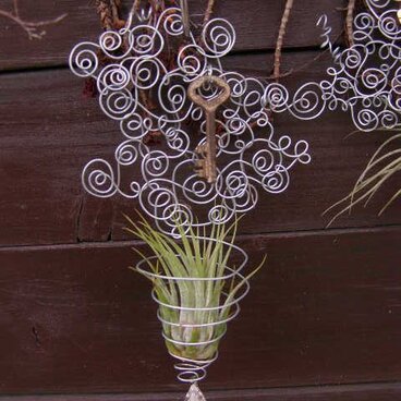 ワイヤーハンギング＊エアプランツ＊Ｂ