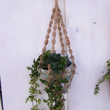 プラントハンガー＊ナチュラルＢ