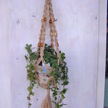 プラントハンガー＊ナチュラルＣ