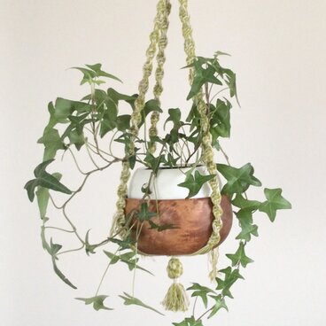 プラントハンガー wood001