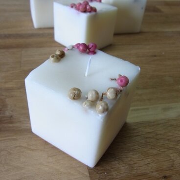 botanical soy cube ＊ mix　※1000円→900円