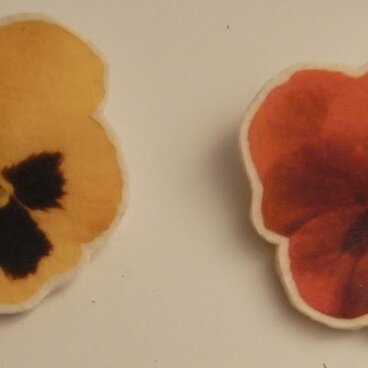 しょくぶつバッジ（パンジー・大）