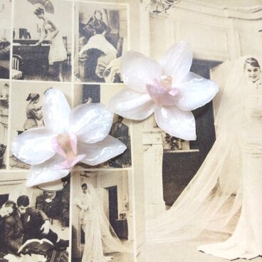 結婚式やバカンスに！本物の胡蝶蘭のピアス！