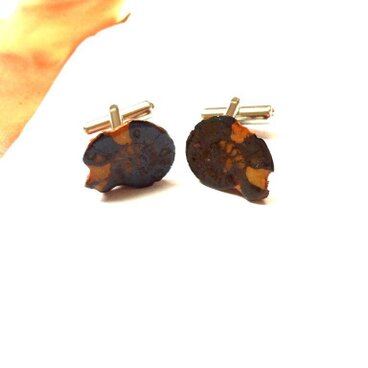 本物化石！プレゼントにも！アンモナイト化石のカフス