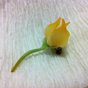 鬼灯のブローチ