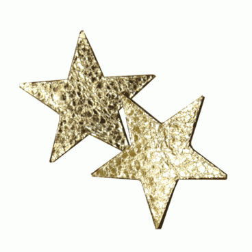 LEATHER EARRINGS (star-M)
