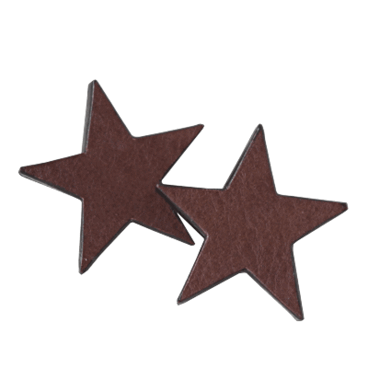 LEATHER EARRINGS (star-M)