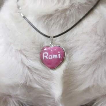 七宝焼きの迷子札