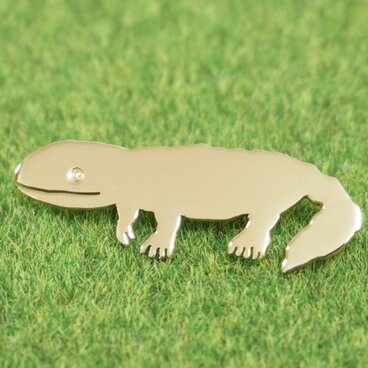 オオサンショウウオpins