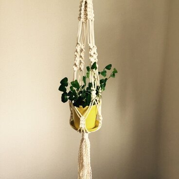 プラントハンガー