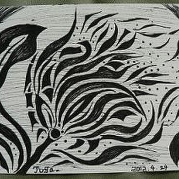 ・黒華・