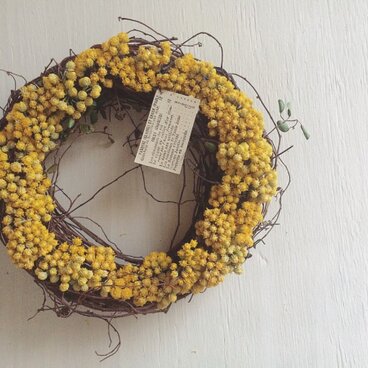 黄色い乙女なリース イエローアゲラタム