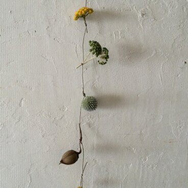 ヤツデ、ローナス、瑠璃アザミのモービル 数量限定！