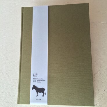 ハルマキノート　シマウマ