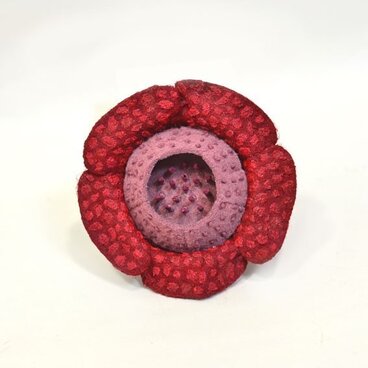 ラフレシアブローチ