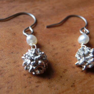 ヒメツルソバ（淡水パール）