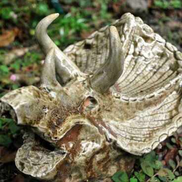 花に活ける花器～化陶トリケラトプス