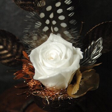 アイアンリーフのシャイニーアレンジメント