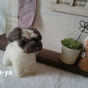 ぶちゃかわクン♪