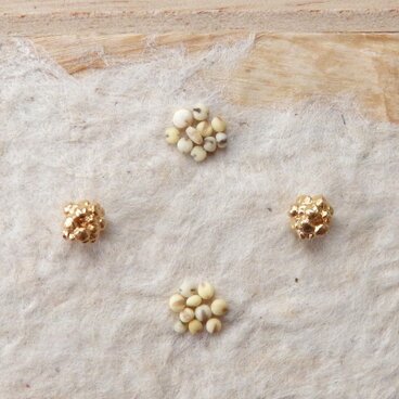 ＊穀物シリーズ＊粟ピアス（金色／シリコンキャッチ）